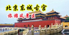 美女干骚的视频网站中国北京-东城古宫旅游风景区